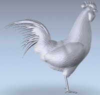 Rooster.jpg