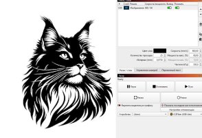 Screenshot_222.jpg
