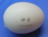 egg marking (3).JPG