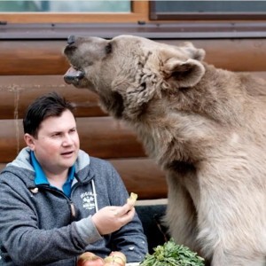 Не зря говорят про русских и медведей ))