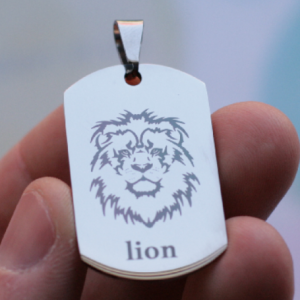 lion2