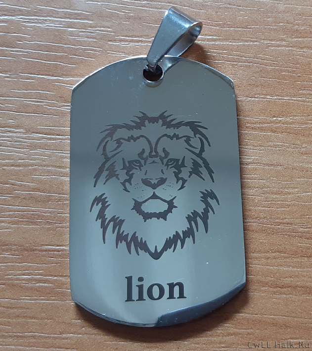 lion1