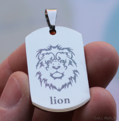 lion2